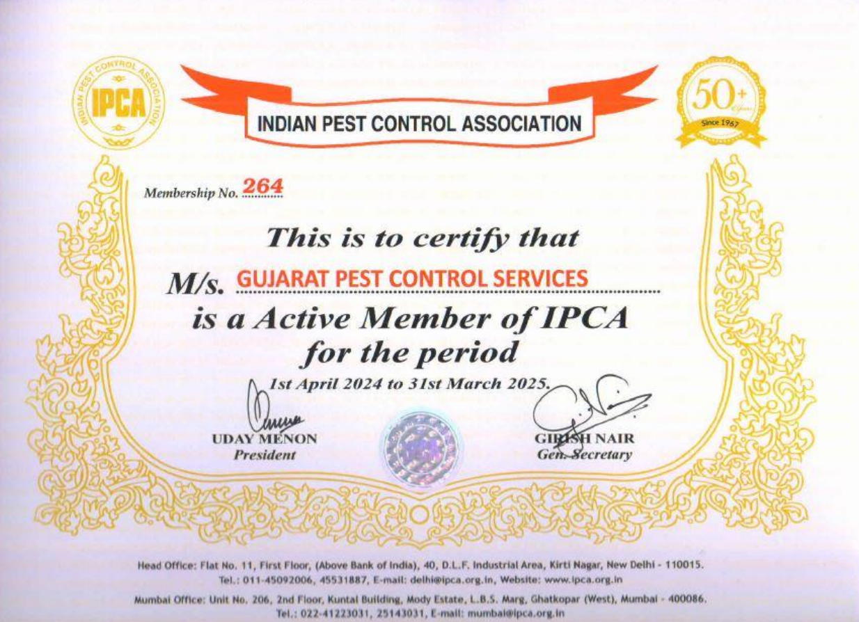 Certificate 2