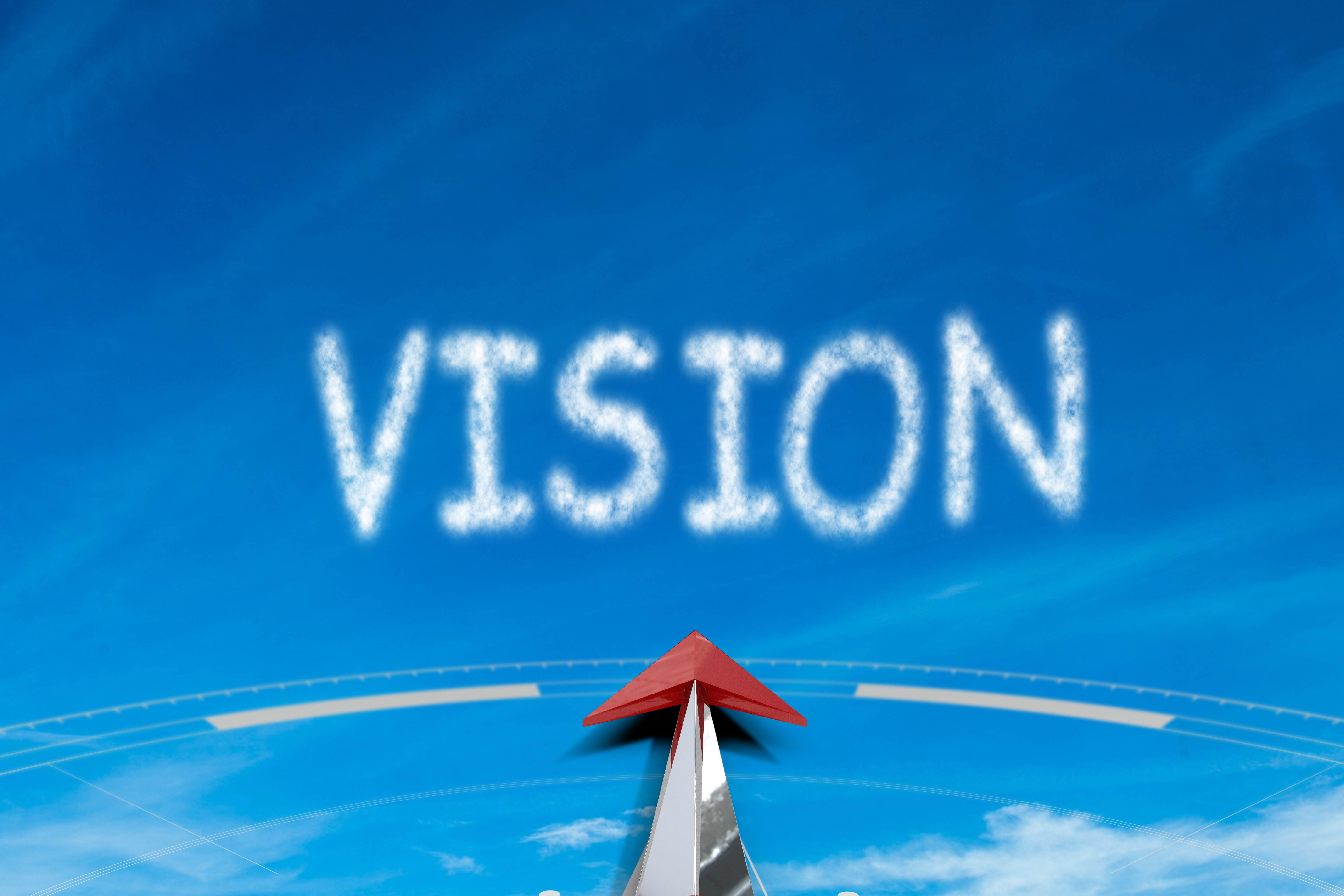 Pest Control Vision